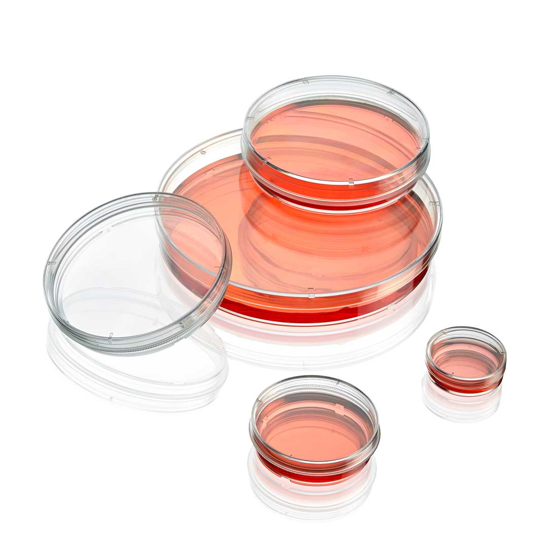Culture Supplies available in online  pharmacy qatar, doha 